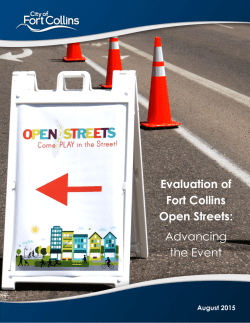 June 2015 Draft Comprehensive Report