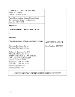 33 American Petroleum Institute Amicus Brief