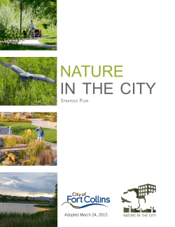 Nature in the City Strategic Plan Executive Summary
