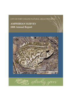 2008 Frog Survey Report