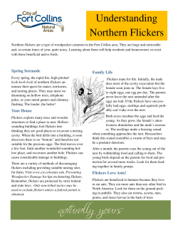 Flickers