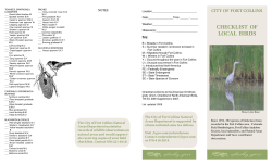 Bird Checklist
