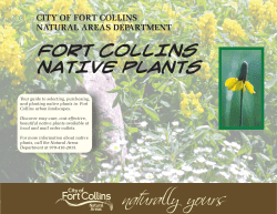 Fort Collins Native Plants.