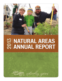 2013 Annual Report (PDF)