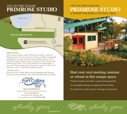 Primrose Studio brochure