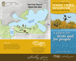 Site Brochure