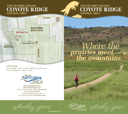 Site brochure