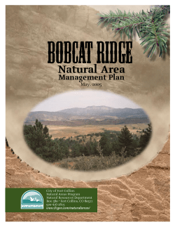Bobcat Ridge Management Plan