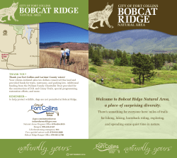 site brochure