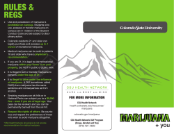 CSU Marijuana Brochure (PDF)