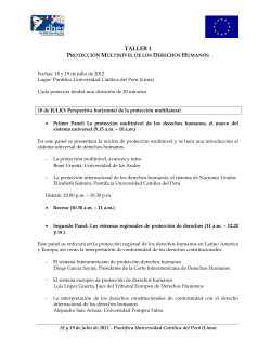 Programa del taller sobre la proteci n multinivel de los Derechos Fundamentales