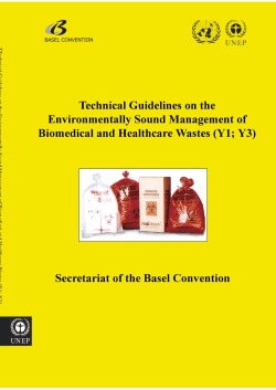 http://archive.basel.int/pub/techgui...biomedical.pdf