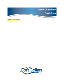 Issue Committee Guidelines