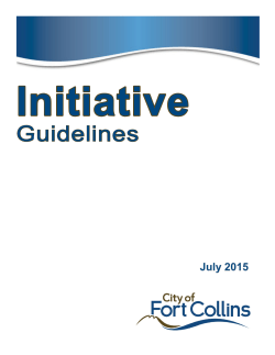 Initiative Guidelines