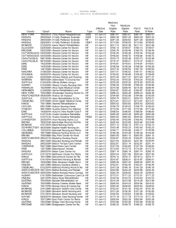 Portable Document Format
