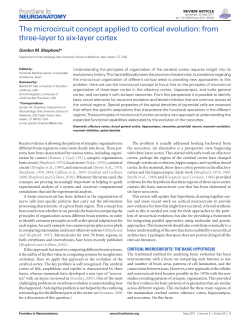 The microcircuit concept applied to cortical evolution: from three-layer to six-layer cortex