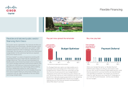 Flexible Financing for the Public Sector