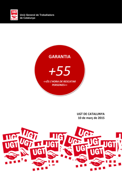 Informe Garantia +55