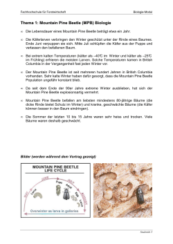 Klimawandel am Beispiel des Mountain Pine Beetle (PDF, 483 KB)