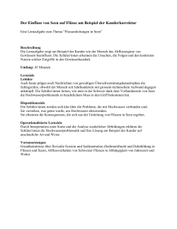 Flussumleitung (WORD) (DOC, 170 KB)