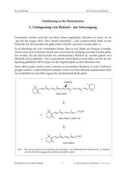 Photochemie (Lernaufgaben und Praktikum) (PDF, 402 KB)