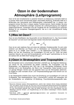 Ozon (Leitprogramm als WORD-Dokument) (DOCX, 1.4 MB)