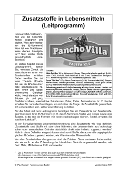 Lebensmittelzusatzstoffe (Leitprogramm) (PDF, 467 KB)