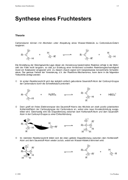 Fruchtesters (Praktikum) (DOC, 150 KB)