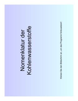 Einf&uuml;hrung (PDF, 150 KB)