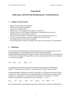 Labor Sch&uuml;ler (PDF, 168 KB)