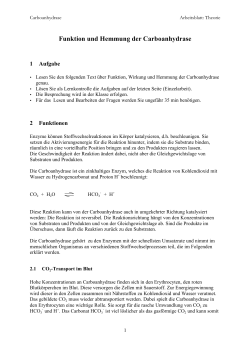 Einf&uuml;hrung (PDF, 247 KB)