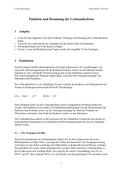 Einf&uuml;hrung (DOC, 142 KB)