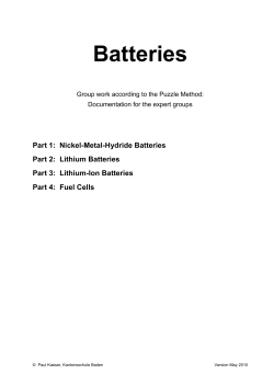 Batterien (Puzzle, Immersionsunterricht) (DOCX, 1.3 MB)