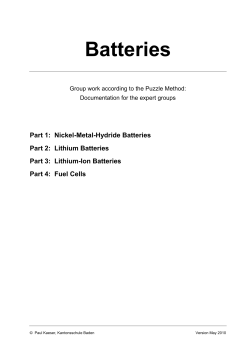 Batterien (Puzzle, Immersionsunterricht) (PDF, 549 KB)