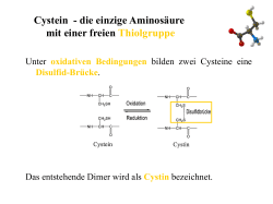 Lehrervortrag (PPT, 816 KB)