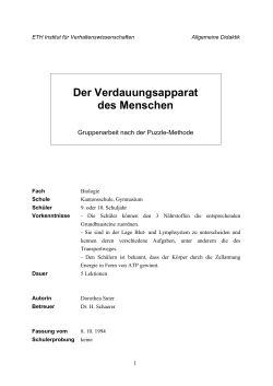 Puzzle (PDF, 438 KB)