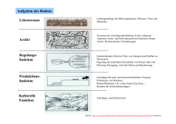Schülerkopien (PDF, 145 KB)