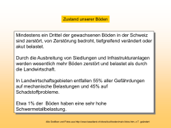 Lehrervortrag (PPT, 2.6 MB)