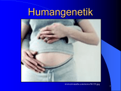 Humangenetik Gruppenarbeit (PPT, 335 KB)