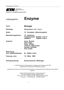 Leitprogramm (PDF, 302 KB)