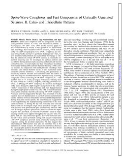 Spike-Wave Complexes and Fast Components of Cortically Generated Seizures. II. Extra- and Intracellular Patterns