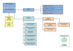 ORGANIGRAMME