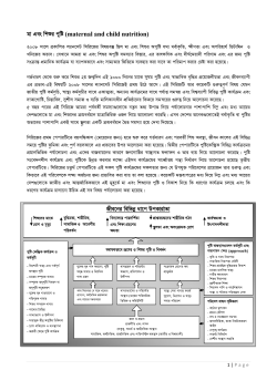 Download Executive Summary (Bangla)
