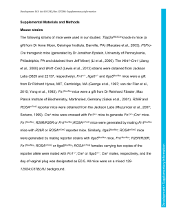 Supplementary information