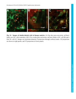 Supplementary information