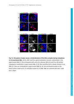 Supplementary information
