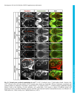Supplementary information