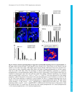 Supplementary information
