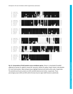 Supplementary information