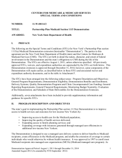 Centers for Medicare Medicaid Services Special Terms and Conditions Partnership